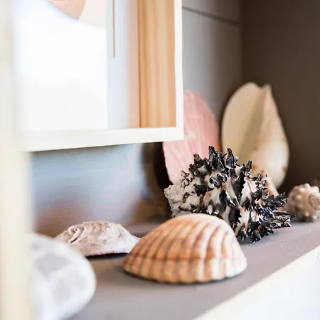 Charming Studio In
